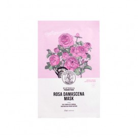 Rosa Damascena