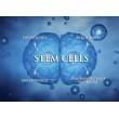 DERMASTIR BLUE LOTUS STEM CELLS